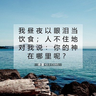 Picture 07 - 诗 篇 42:3 CUVS - 我 昼 夜 以 眼 泪 当 饮 食 ； 人 不 - Bible Verse Picture