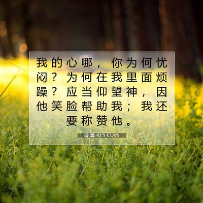 Picture 07 - 诗 篇 42:5 CUVS - 我 的 心 哪 ， 你 为 何 忧 闷 ？ 为 - Bible Verse Picture