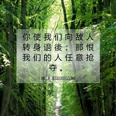 Picture 07 - 诗 篇 44:10 CUVS - 你 使 我 们 向 敌 人 转 身 退 後 ； - Bible Verse Picture