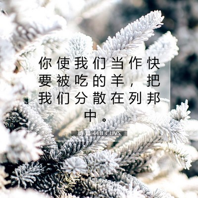 Picture 07 - 诗 篇 44:11 CUVS - 你 使 我 们 当 作 快 要 被 吃 的 羊 - Bible Verse Picture