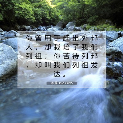 Picture 07 - 诗 篇 44:2 CUVS - 你 曾 用 手 赶 出 外 邦 人 ， 却 栽 - Bible Verse Picture
