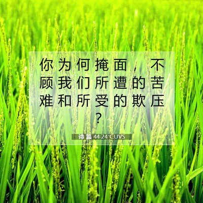 Picture 07 - 诗 篇 44:24 CUVS - 你 为 何 掩 面 ， 不 顾 我 们 所 遭 - Bible Verse Picture