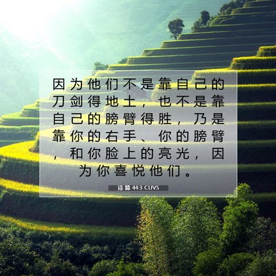 Picture 07 - 诗 篇 44:3 CUVS - 因 为 他 们 不 是 靠 自 己 的 刀 剑 - Bible Verse Picture