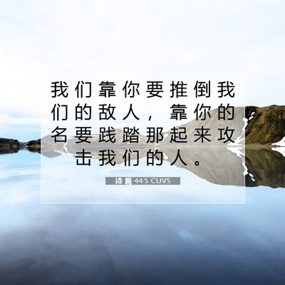 Picture 07 - 诗 篇 44:5 CUVS - 我 们 靠 你 要 推 倒 我 们 的 敌 人 - Bible Verse Picture