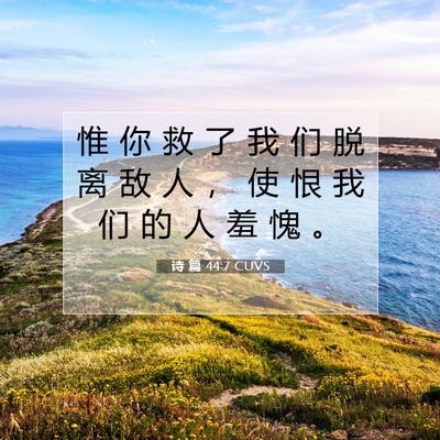 Picture 07 - 诗 篇 44:7 CUVS - 惟 你 救 了 我 们 脱 离 敌 人 ， 使 - Bible Verse Picture