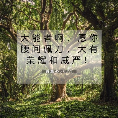 Picture 07 - 诗 篇 45:3 CUVS - 大 能 者 啊 ， 愿 你 腰 间 佩 刀 ， - Bible Verse Picture