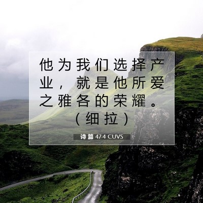 Picture 07 - 诗 篇 47:4 CUVS - 他 为 我 们 选 择 产 业 ， 就 是 他 - Bible Verse Picture