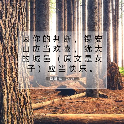 Picture 07 - 诗 篇 48:11 CUVS - 因 你 的 判 断 ， 锡 安 山 应 当 欢 - Bible Verse Picture