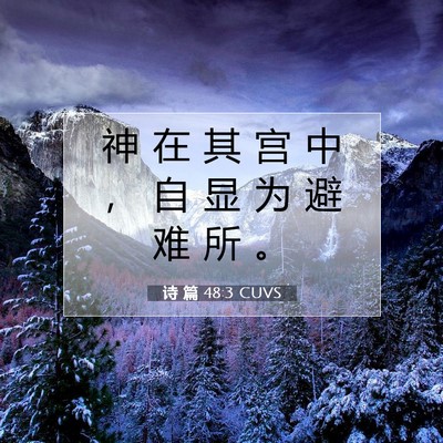Picture 07 - 诗 篇 48:3 CUVS - 神 在 其 宫 中 ， 自 显 为 避 难 所 - Bible Verse Picture