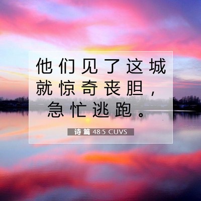 Picture 07 - 诗 篇 48:5 CUVS - 他 们 见 了 这 城 就 惊 奇 丧 胆 ， - Bible Verse Picture