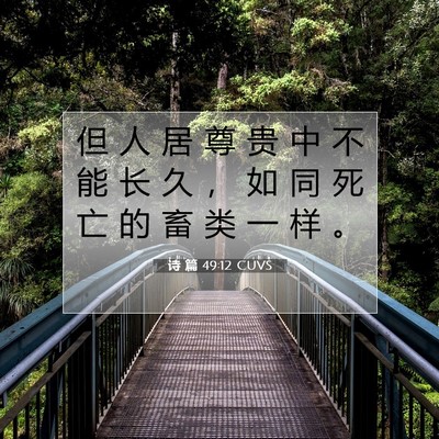 Picture 07 - 诗 篇 49:12 CUVS - 但 人 居 尊 贵 中 不 能 长 久 ， 如 - Bible Verse Picture