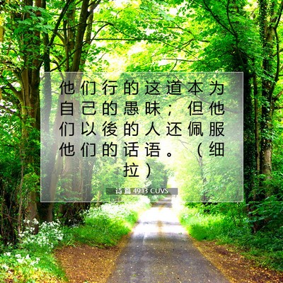 Picture 07 - 诗 篇 49:13 CUVS - 他 们 行 的 这 道 本 为 自 己 的 愚 - Bible Verse Picture
