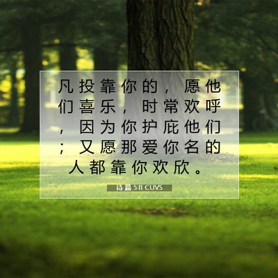 Picture 07 - 诗 篇 5:11 CUVS - 凡 投 靠 你 的 ， 愿 他 们 喜 乐 ， - Bible Verse Picture