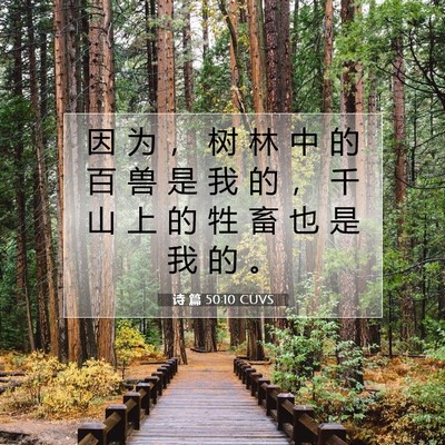Picture 07 - 诗 篇 50:10 CUVS - 因 为 ， 树 林 中 的 百 兽 是 我 的 - Bible Verse Picture