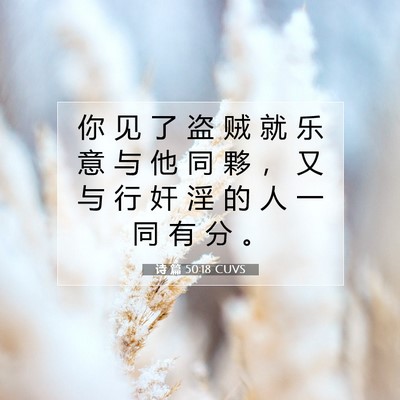 Picture 07 - 诗 篇 50:18 CUVS - 你 见 了 盗 贼 就 乐 意 与 他 同 夥 - Bible Verse Picture