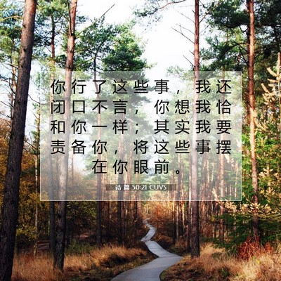 Picture 07 - 诗 篇 50:21 CUVS - 你 行 了 这 些 事 ， 我 还 闭 口 不 - Bible Verse Picture
