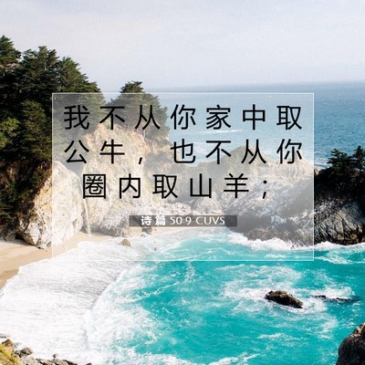 Picture 07 - 诗 篇 50:9 CUVS - 我 不 从 你 家 中 取 公 牛 ， 也 不 - Bible Verse Picture