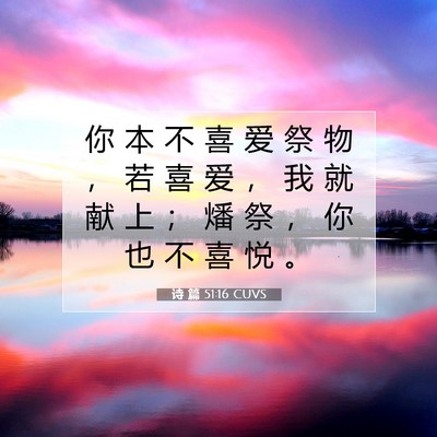 Picture 07 - 诗 篇 51:16 CUVS - 你 本 不 喜 爱 祭 物 ， 若 喜 爱 ， - Bible Verse Picture
