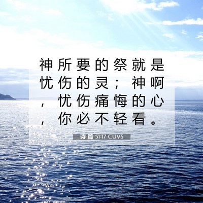 Picture 07 - 诗 篇 51:17 CUVS - 神 所 要 的 祭 就 是 忧 伤 的 灵 ； - Bible Verse Picture