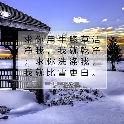 Picture 07 - 诗 篇 51:7 CUVS - 求 你 用 牛 膝 草 洁 净 我 ， 我 就 - Bible Verse Picture
