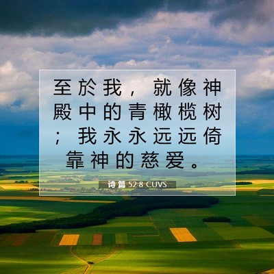 Picture 07 - 诗 篇 52:8 CUVS - 至 於 我 ， 就 像 神 殿 中 的 青 橄 - Bible Verse Picture