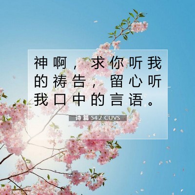 Picture 07 - 诗 篇 54:2 CUVS - 神 啊 ， 求 你 听 我 的 祷 告 ， 留 - Bible Verse Picture