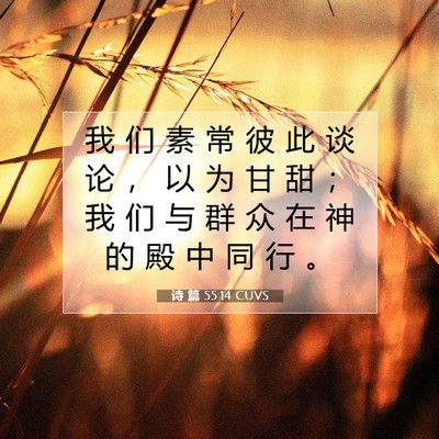 Picture 07 - 诗 篇 55:14 CUVS - 我 们 素 常 彼 此 谈 论 ， 以 为 甘 - Bible Verse Picture