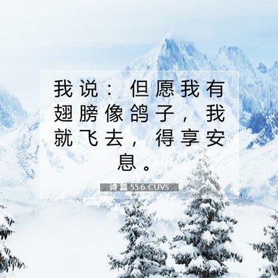 Picture 07 - 诗 篇 55:6 CUVS - 我 说 ： 但 愿 我 有 翅 膀 像 鸽 子 - Bible Verse Picture