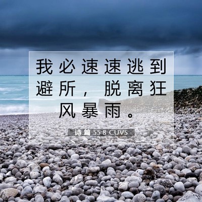 Picture 07 - 诗 篇 55:8 CUVS - 我 必 速 速 逃 到 避 所 ， 脱 离 狂 - Bible Verse Picture