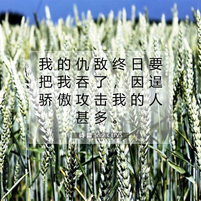 Picture 07 - 诗 篇 56:2 CUVS - 我 的 仇 敌 终 日 要 把 我 吞 了 ， - Bible Verse Picture