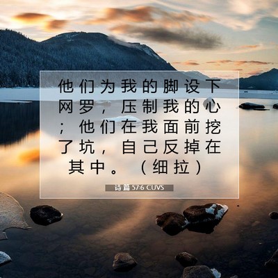 Picture 07 - 诗 篇 57:6 CUVS - 他 们 为 我 的 脚 设 下 网 罗 ， 压 - Bible Verse Picture