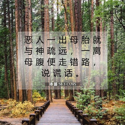 Picture 07 - 诗 篇 58:3 CUVS - 恶 人 一 出 母 胎 就 与 神 疏 远 ， - Bible Verse Picture