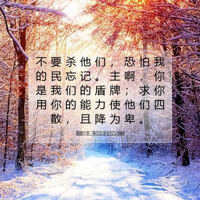 Picture 07 - 诗 篇 59:11 CUVS - 不 要 杀 他 们 ， 恐 怕 我 的 民 忘 - Bible Verse Picture