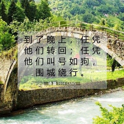 Picture 07 - 诗 篇 59:14 CUVS - 到 了 晚 上 ， 任 凭 他 们 转 回 ； - Bible Verse Picture