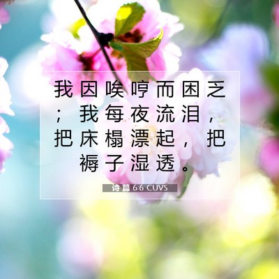 Picture 07 - 诗 篇 6:6 CUVS - 我 因 唉 哼 而 困 乏 ； 我 每 夜 流 - Bible Verse Picture