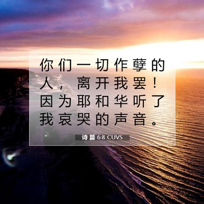 Picture 07 - 诗 篇 6:8 CUVS - 你 们 一 切 作 孽 的 人 ， 离 开 我 - Bible Verse Picture