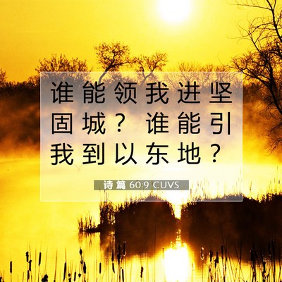 Picture 07 - 诗 篇 60:9 CUVS - 谁 能 领 我 进 坚 固 城 ？ 谁 能 引 - Bible Verse Picture