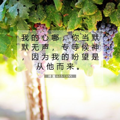 Picture 07 - 诗 篇 62:5 CUVS - 我 的 心 哪 ， 你 当 默 默 无 声 ， - Bible Verse Picture