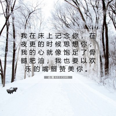 Picture 07 - 诗 篇 63:5 CUVS - 我 在 床 上 记 念 你 ， 在 夜 更 的 - Bible Verse Picture