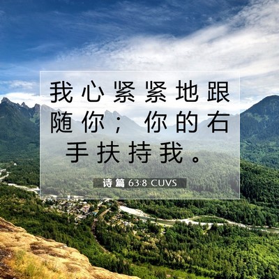 Picture 07 - 诗 篇 63:8 CUVS - 我 心 紧 紧 地 跟 随 你 ； 你 的 右 - Bible Verse Picture