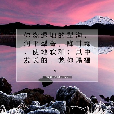 Picture 07 - 诗 篇 65:10 CUVS - 你 浇 透 地 的 犁 沟 ， 润 平 犁 脊 - Bible Verse Picture