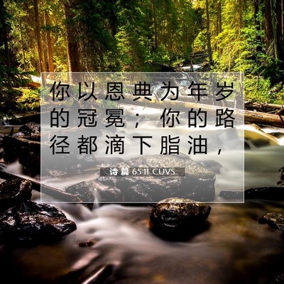 Picture 07 - 诗 篇 65:11 CUVS - 你 以 恩 典 为 年 岁 的 冠 冕 ； 你 - Bible Verse Picture