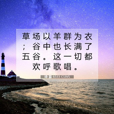 Picture 07 - 诗 篇 65:13 CUVS - 草 场 以 羊 群 为 衣 ； 谷 中 也 长 - Bible Verse Picture