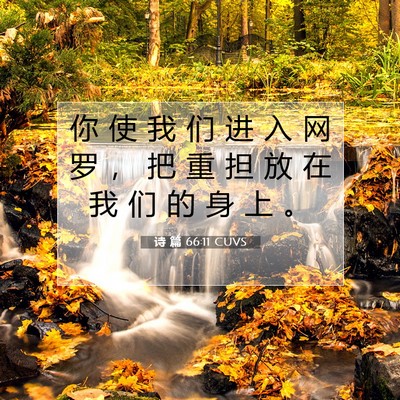 Picture 07 - 诗 篇 66:11 CUVS - 你 使 我 们 进 入 网 罗 ， 把 重 担 - Bible Verse Picture