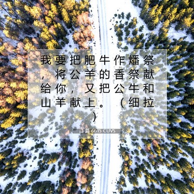 Picture 07 - 诗 篇 66:15 CUVS - 我 要 把 肥 牛 作 燔 祭 ， 将 公 羊 - Bible Verse Picture