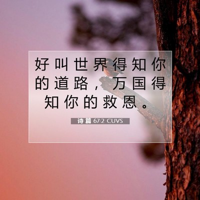 Picture 07 - 诗 篇 67:2 CUVS - 好 叫 世 界 得 知 你 的 道 路 ， 万 - Bible Verse Picture