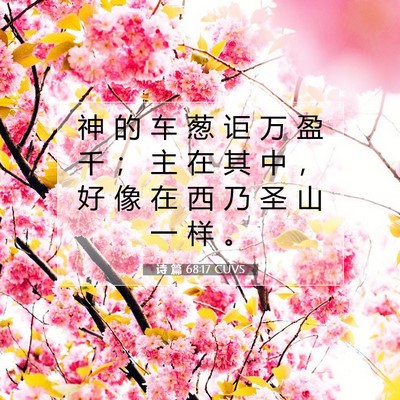 Picture 07 - 诗 篇 68:17 CUVS - 神 的 车 葱 讵 万 盈 千 ； 主 在 其 - Bible Verse Picture