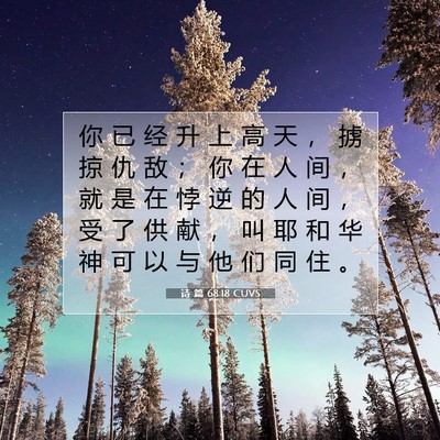 Picture 07 - 诗 篇 68:18 CUVS - 你 已 经 升 上 高 天 ， 掳 掠 仇 敌 - Bible Verse Picture
