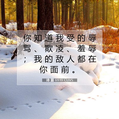 Picture 07 - 诗 篇 69:19 CUVS - 你 知 道 我 受 的 辱 骂 、 欺 凌 、 - Bible Verse Picture