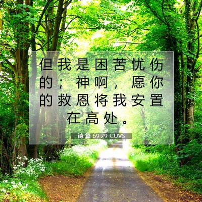 Picture 07 - 诗 篇 69:29 CUVS - 但 我 是 困 苦 忧 伤 的 ； 神 啊 ， - Bible Verse Picture